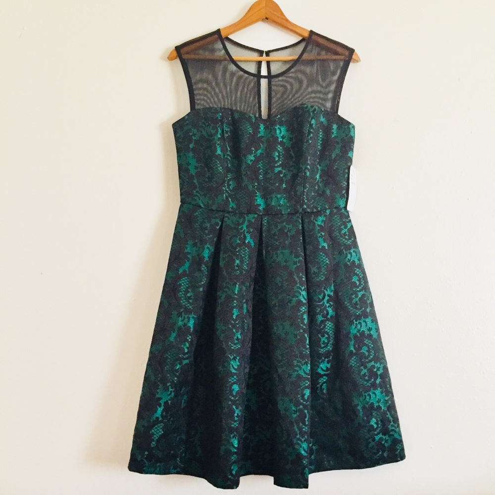 Sandra Darren SD Collection Black and Emerald